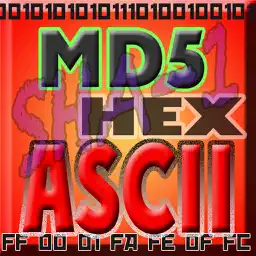 ASCII HEX BASE64 MD5转换器